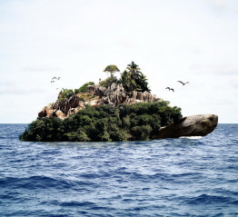 Post With Gallery