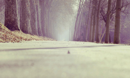 Blog Post With Slider